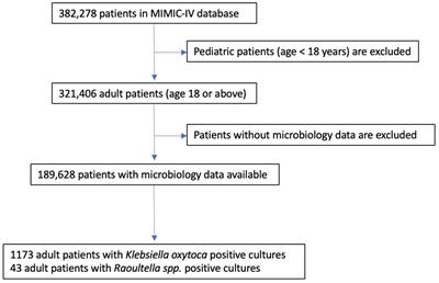 Clinical differences between Raoultella spp. and Klebsiella oxytoca